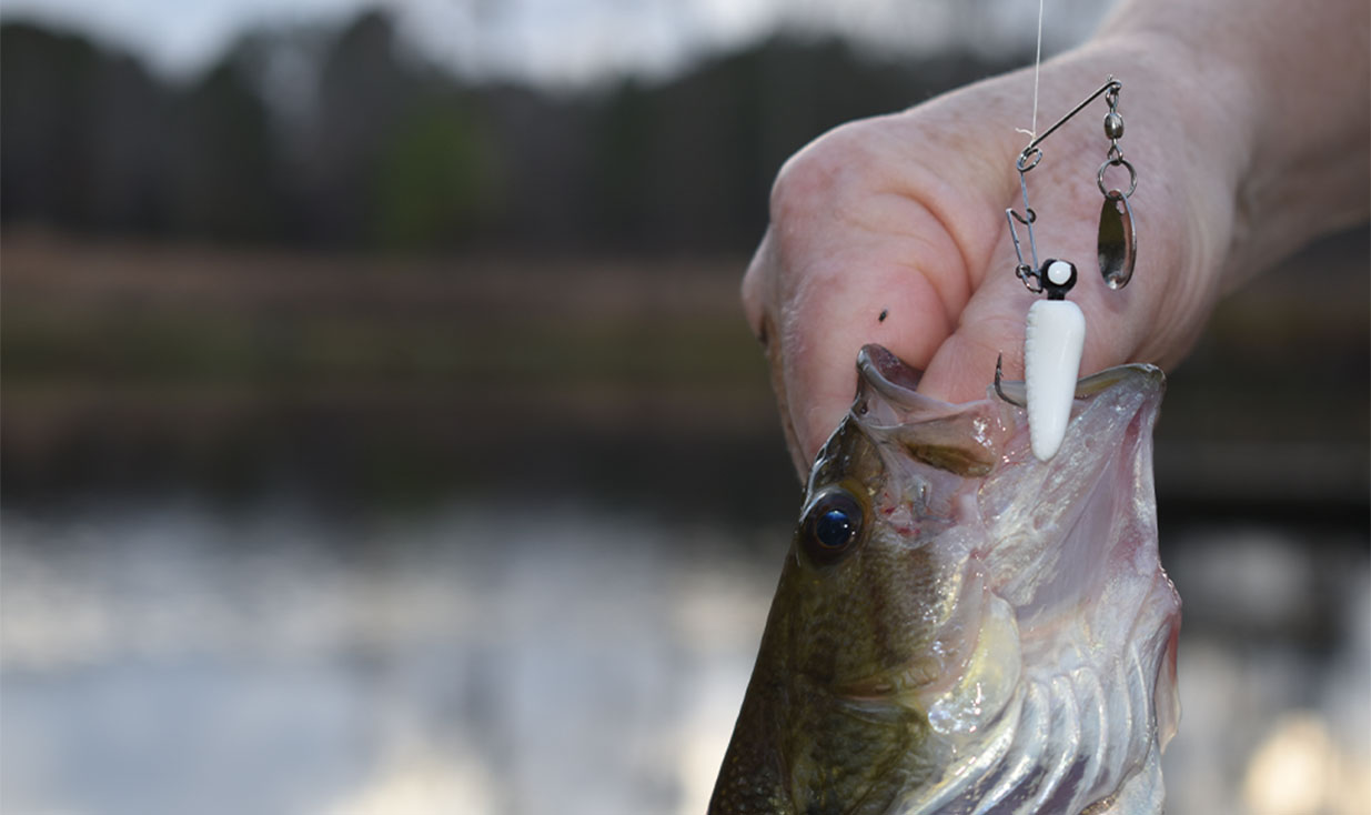 How to Fish a Floating Worm on Cover for Bass - Tips & Catches