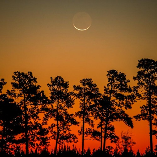 “Sunrise chasing the crescent moon on a brisk morning in Burgaw.” —Eric Kozen, Burgaw, Four County EMC