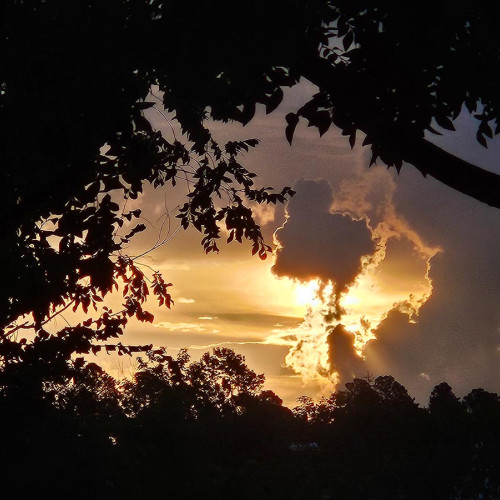 “Spectacular Sunrise in Brunswick Forest located in Leland.” —Hannelore Ridgely, Leland, Brunswick Electric