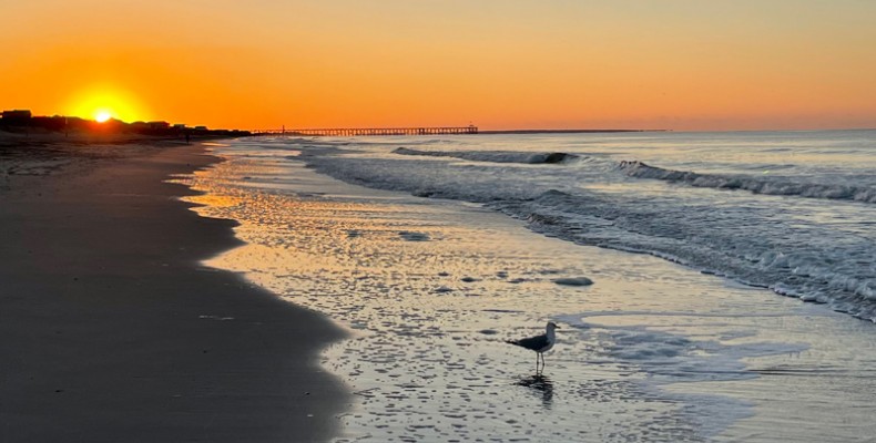 What do you love about Carolina Beaches?